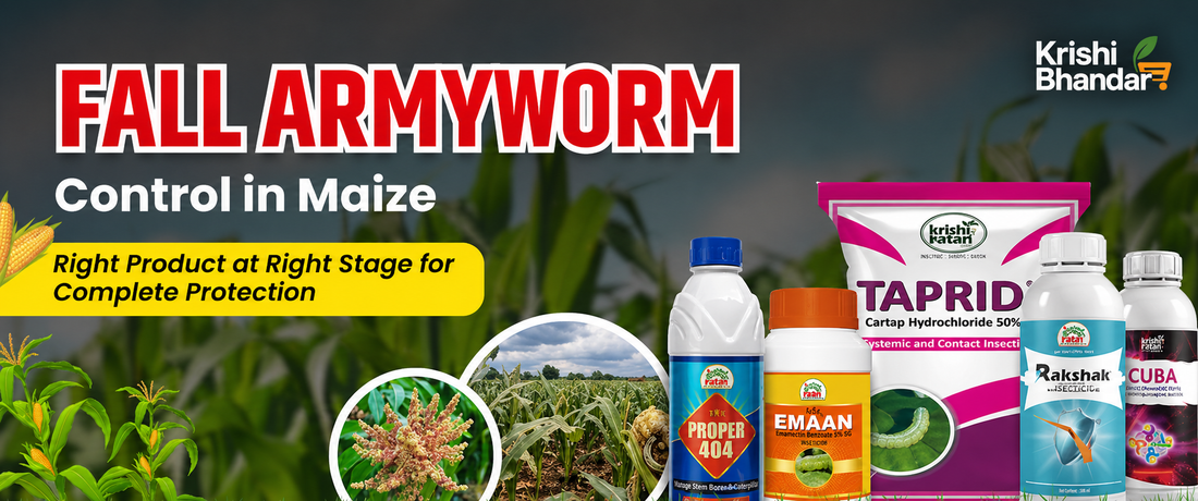 Fall armyworm control in maize crop showing insecticide products, damaged maize field, and