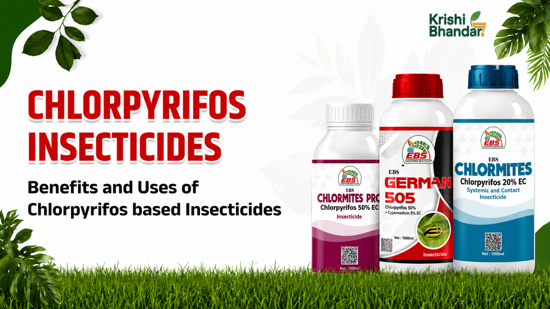 chlorpyrifos insecticides bottles with product labels, benefits and uses of chlorpyrifos based insecticides, agricultural pesticide products on grass background with Krishi Bhandar branding