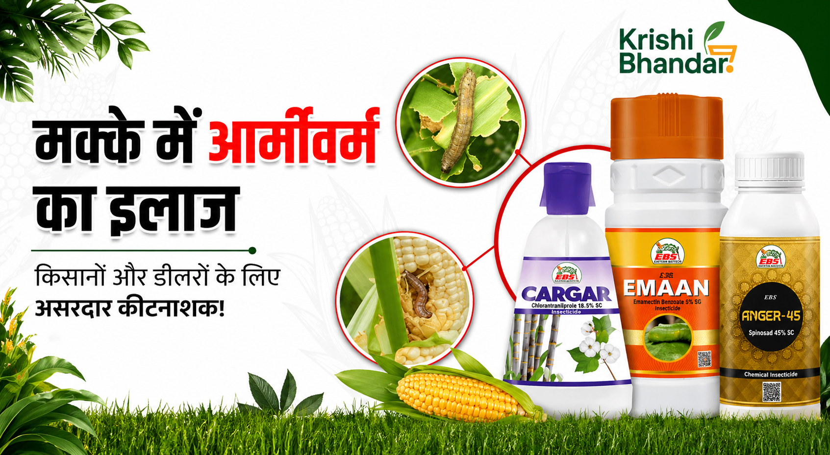 मक्के में आर्मीवर्म का इलाज – किसानों और डीलरों के लिए असरदार कीटनाशक!