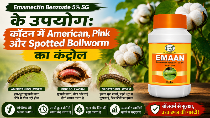 Emamectin Benzoate 5% SG के उपयोग: कॉटन में American, Pink और Spotted Bollworm का कंट्रोल