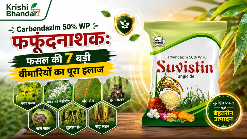Carbendazim 50% WP फफूंदनाशक: फसल की 7 बड़ी बीमारियों का पूरा इलाज (उपयोग, मात्रा और स्प्रे गाइड)