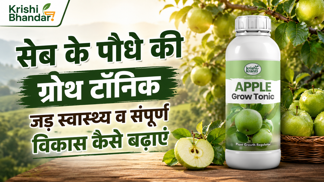 **Alt text:** `Krishi Bhandar Apple Grow Tonic for apple plants, promoting root health and overall plant growth`