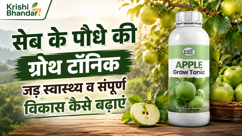 सेब के पौधे की ग्रोथ टॉनिक – जड़ स्वास्थ्य व संपूर्ण विकास कैसे बढ़ाएं