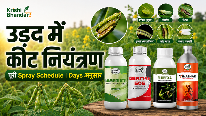 उड़द फसल सुरक्षा गाइड (Urad Crop Protection Guide)