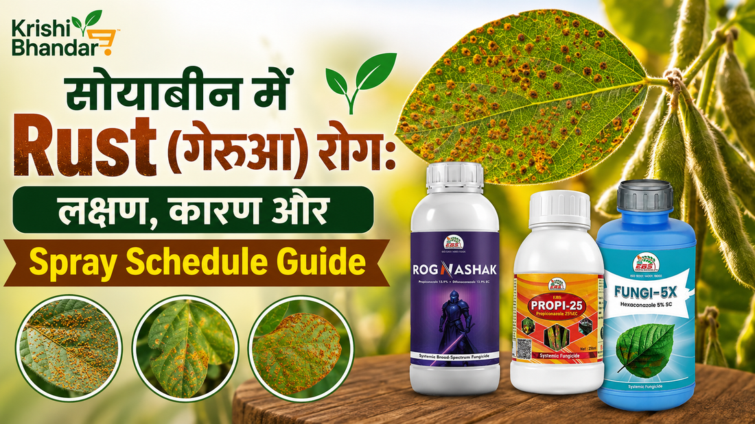 सोयाबीन में Rust (गेरुआ) रोग: लक्षण, कारण, Spray Schedule और दवा की पूरी Guide