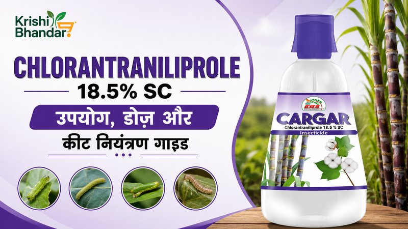 Chlorantraniliprole 18.5% SC: उपयोग, डोज़ और कीट नियंत्रण गाइड