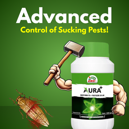 Krishikranti AURA PLUS Dinotefuran 15% + Pymetrozine 45% WG Systemic Insecticide for Sucking Pests