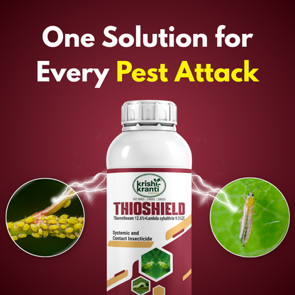 Krishikranti Thioshield Thiamethoxam 12.6% + Lambda Cyhalothrin 9.5% ZC Insecticide for Sucking & Chewing Pest Control