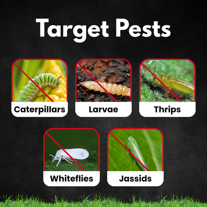 krishikranti ORGANO KILLER  - Larvicide