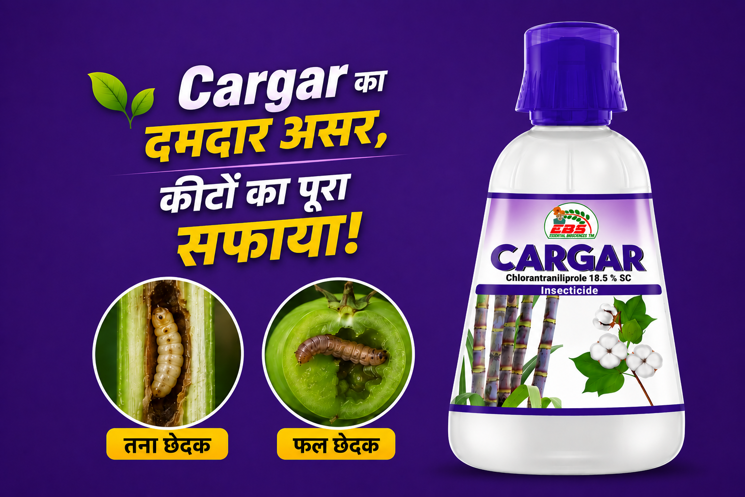 Cargar