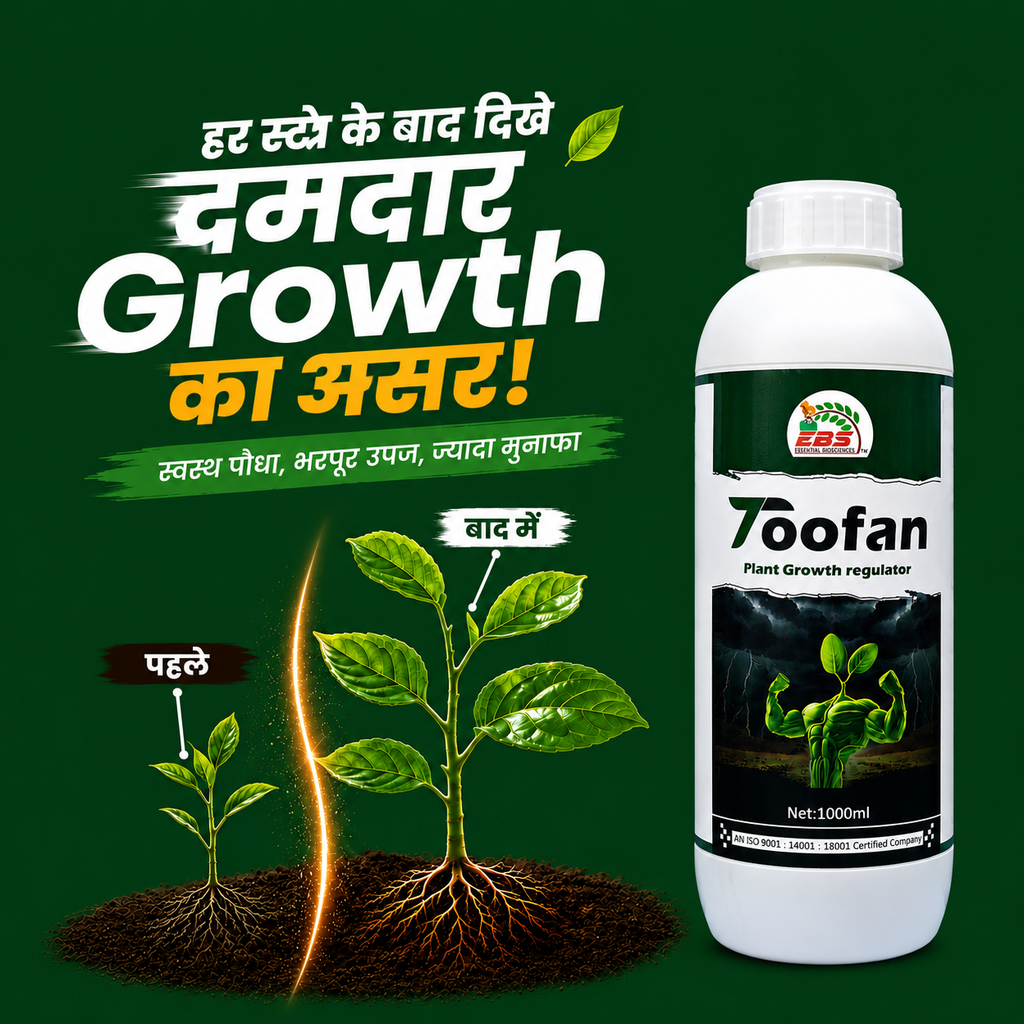 Toofan