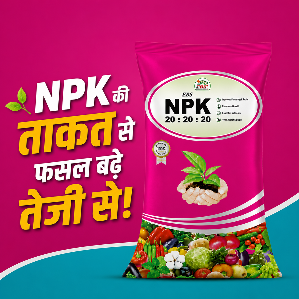 NPK Fertilizers