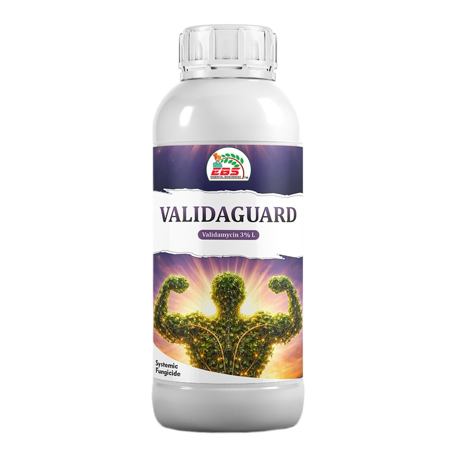 paraquat herbicide dosage per litre Paraquat Dichloride 24% SL Herbicide