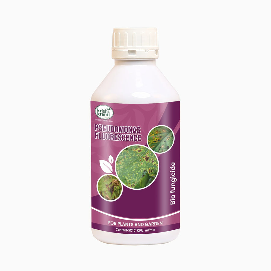 Krishikranti Pseudomonas fluorescence Bio fungicide