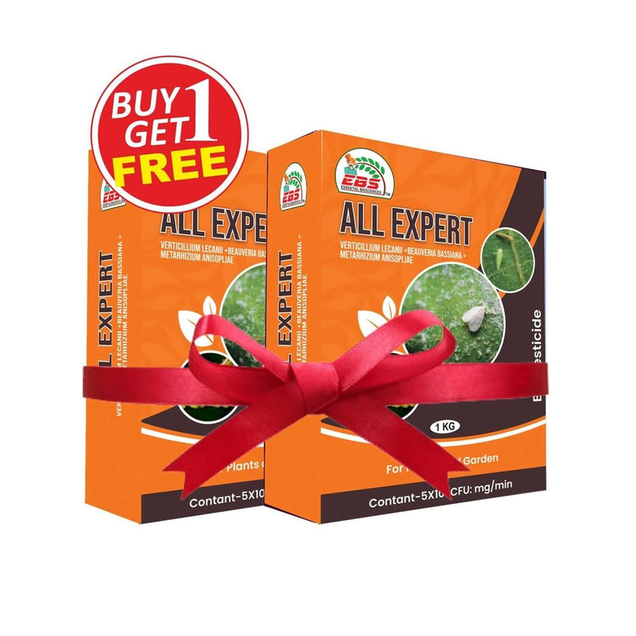EBS All Expert Bio Pesticide Powder ( 1+1 Free )