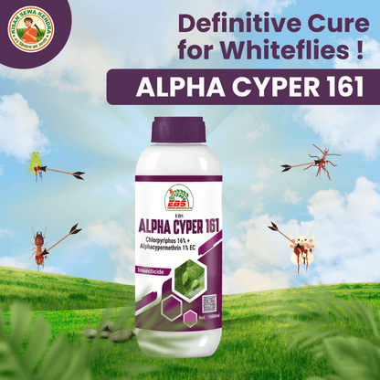 EBS Alpha Cyper 161 Chlorpyriphos 16 %+Alphacypermethrin 1% Ec