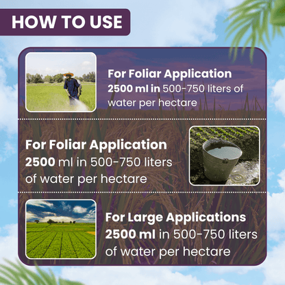 EBS Alpha Cyper 161 Chlorpyriphos 16 %+Alphacypermethrin 1% Ec