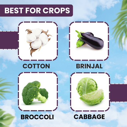 EBS Alpha Cyper 161 Chlorpyriphos 16 %+Alphacypermethrin 1% Ec