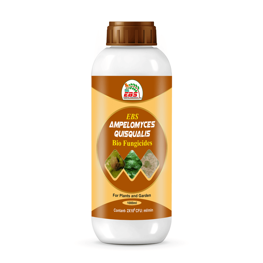 EBS Ampelomyces Quisqualis Bio Fungicide