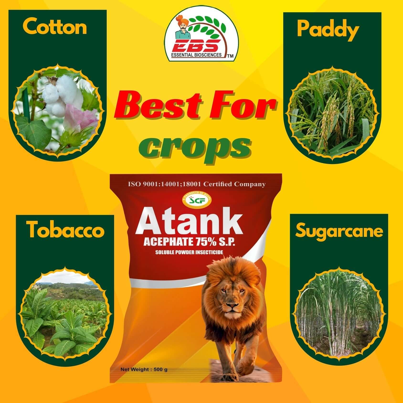 EBS Atank Acephate 75% SP insecticide