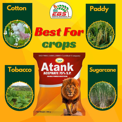 EBS Atank Acephate 75% SP insecticide