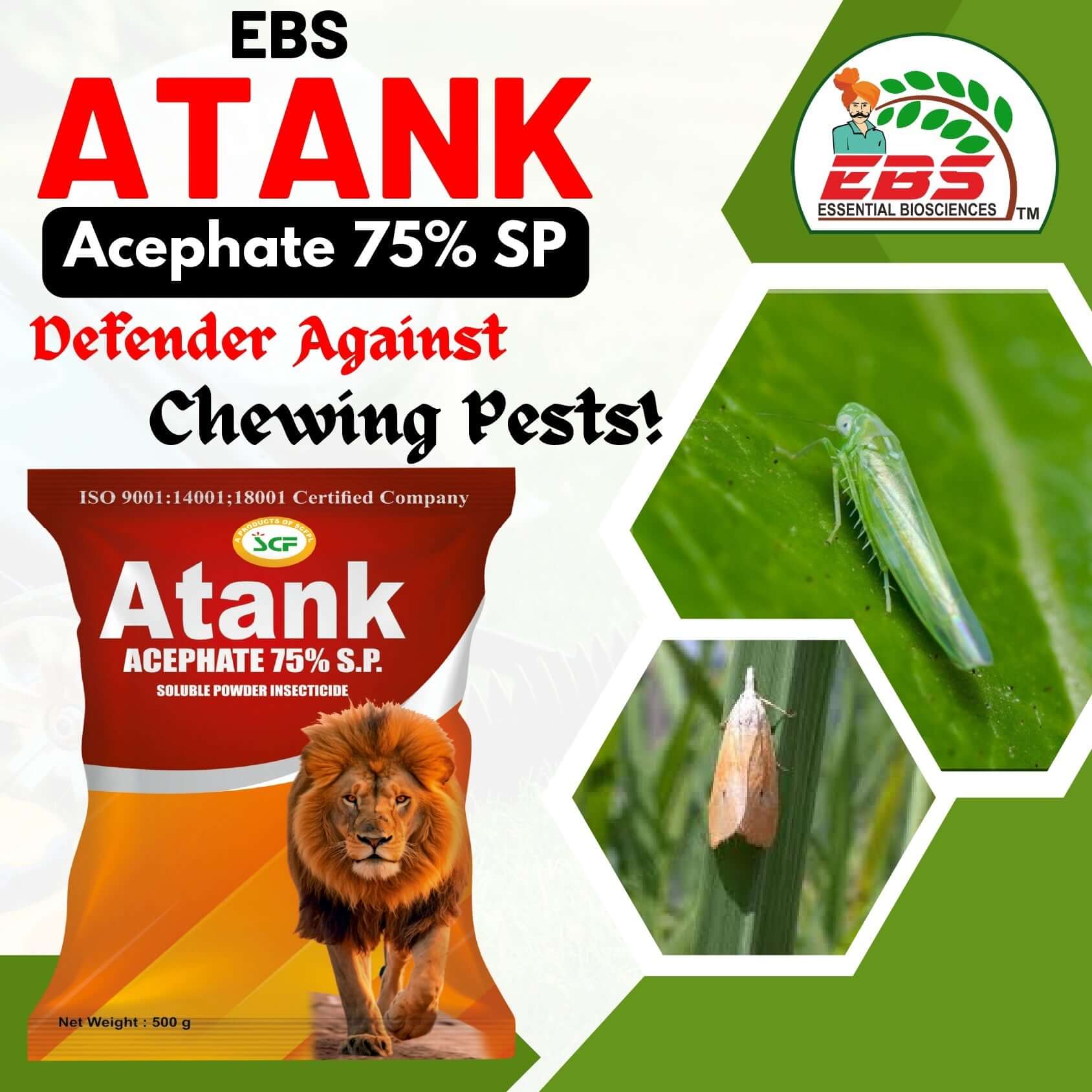 EBS Atank Acephate 75% SP insecticide