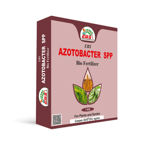 AZOTOBACTER SPP box bio fertilizer