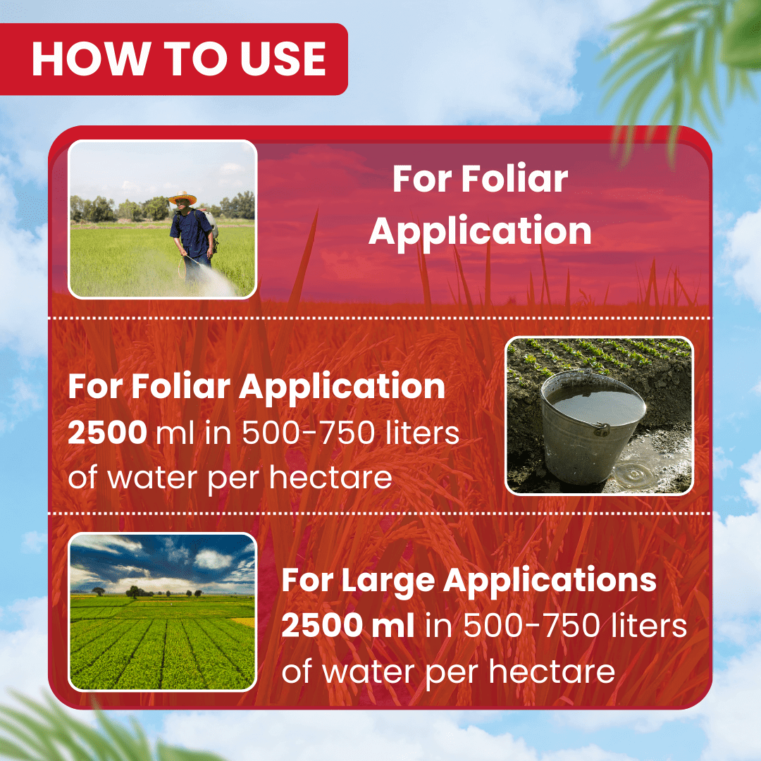 EBS B-Pro Buprofezin 25% SC insecticide bottle for crop protection