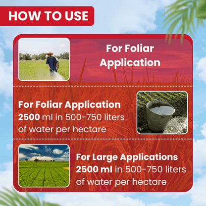 EBS B-Pro Buprofezin 25% SC insecticide bottle for crop protection