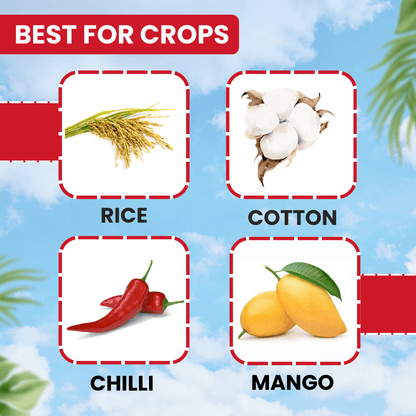 EBS B-Pro Buprofezin 25% SC insecticide bottle for crop protection