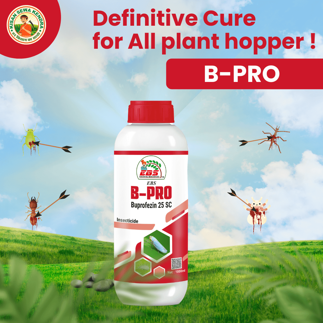 EBS B-Pro Buprofezin 25% SC insecticide bottle for crop protection