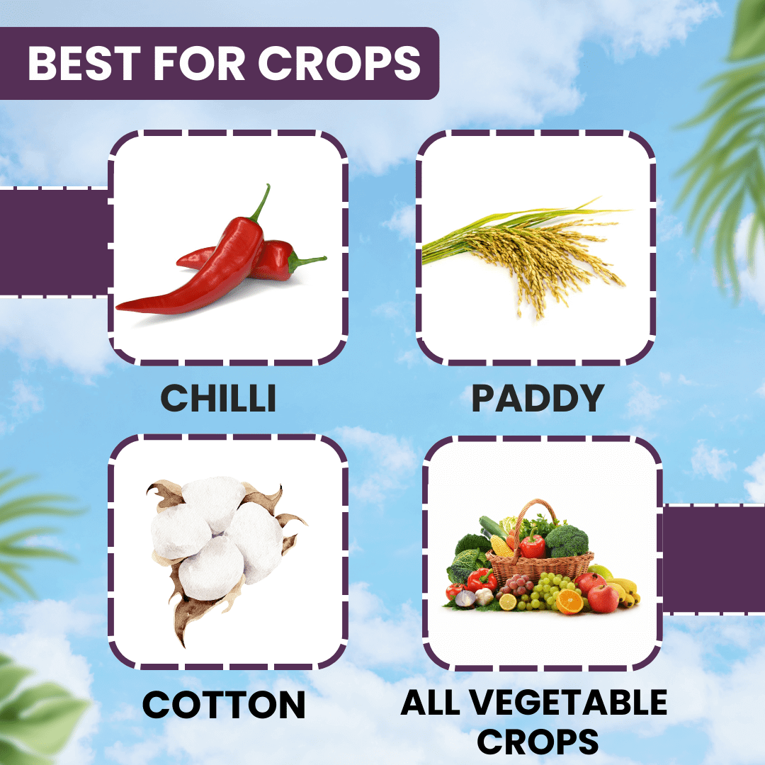 Bifenthrin 10% EC insecticide product