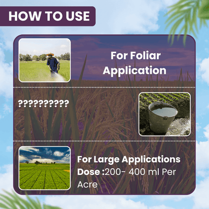 Bifenthrin 10% EC insecticide product