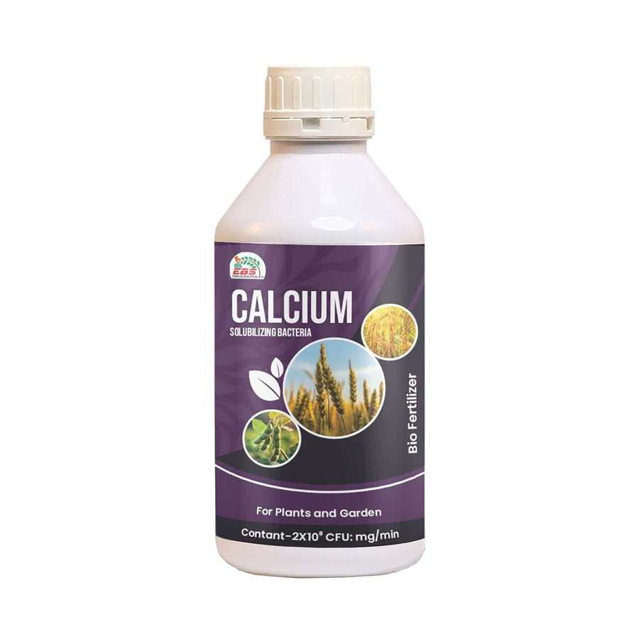 Calcium Solubilizing Bacteria Bio Fertilizer |CSB for Soil Calcium