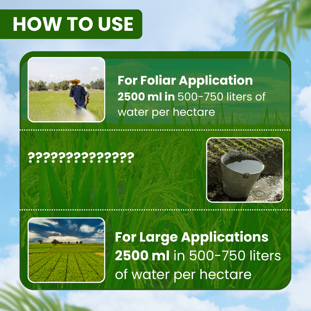 EBS Chlormites Chlorpyriphos 20% EC insecticide