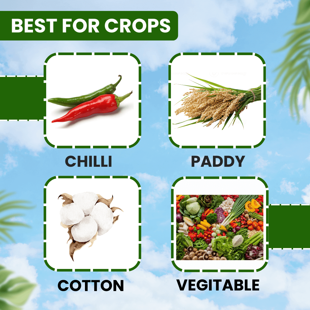 EBS Chlormites Chlorpyriphos 20% EC insecticide