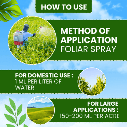 EBS Custom Azoxystrobin 11% Tebuconazole 18.3% SC fungicide