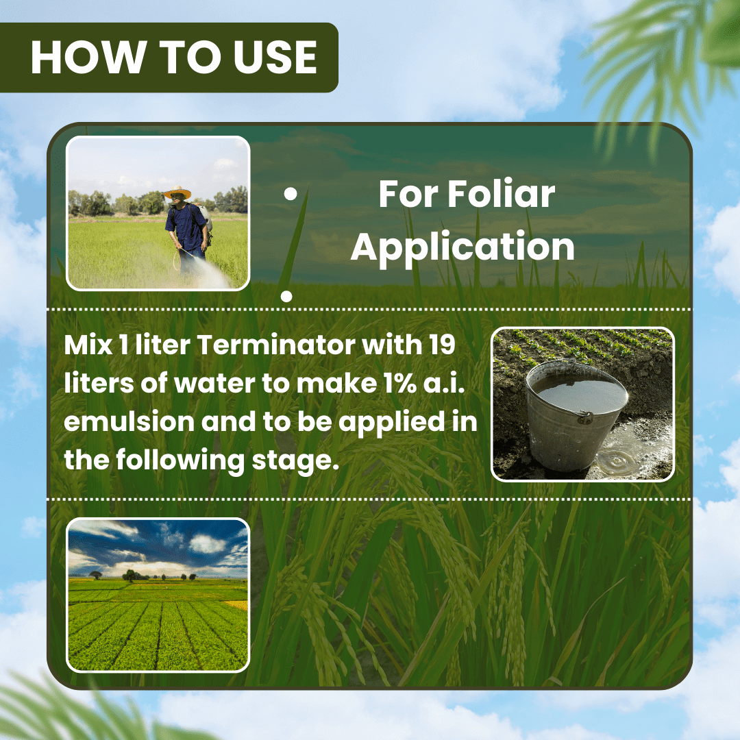 EBS Cyhalomaster Lambda Cyhalothrin 4.9% CS insecticide