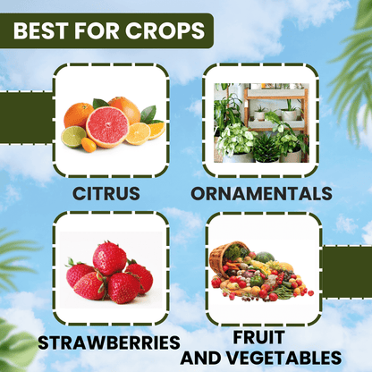 EBS Cyhalomaster Lambda Cyhalothrin 4.9% CS insecticide