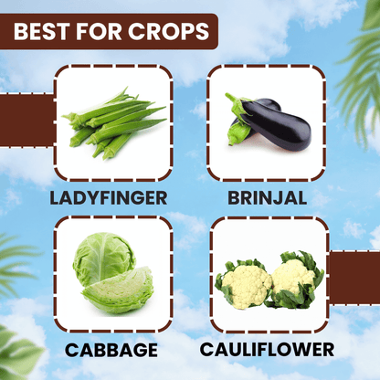 EBS Defender-30 Dimethoate 30% EC insecticide bottle