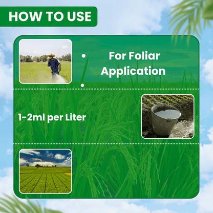 EBS డెల్-28 డెల్టామెత్రిన్ 2.8% Ec