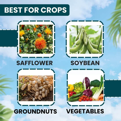 EBS Emaan-19 Emamectin Benzoate 1.9% EC Insecticide for Caterpillar Control