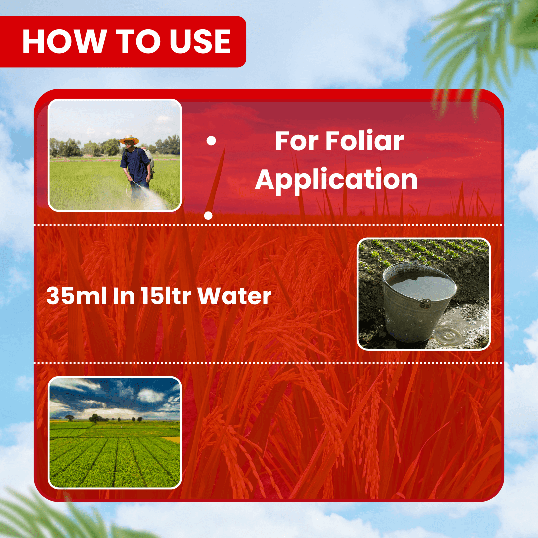 Ethion 40% + Cypermethrin 5% EC spray