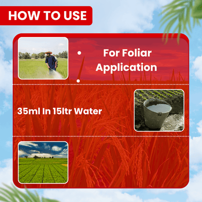 Ethion 40% + Cypermethrin 5% EC spray