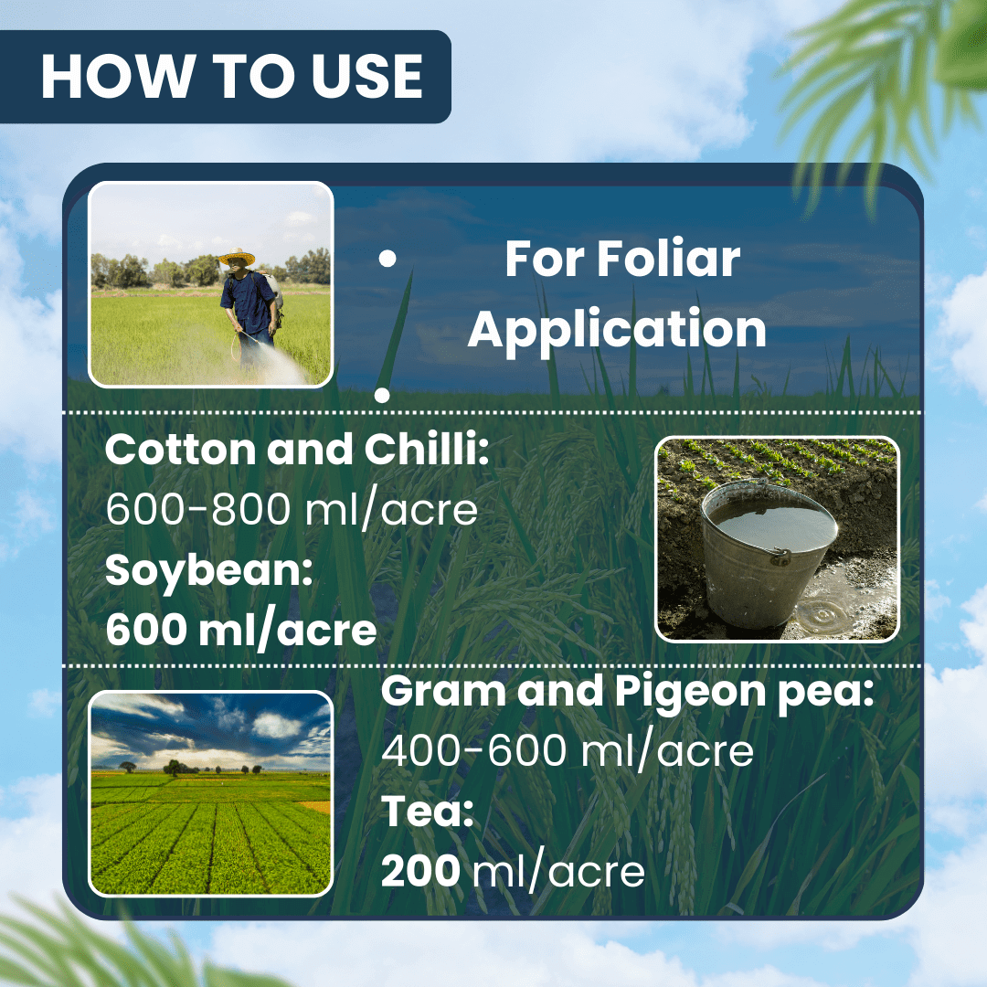 Ethion 50 EC insecticide for crop protection