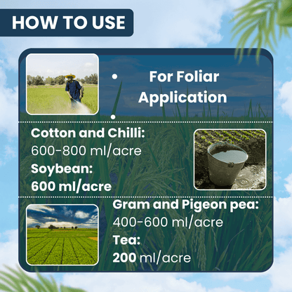 Ethion 50 EC insecticide for crop protection