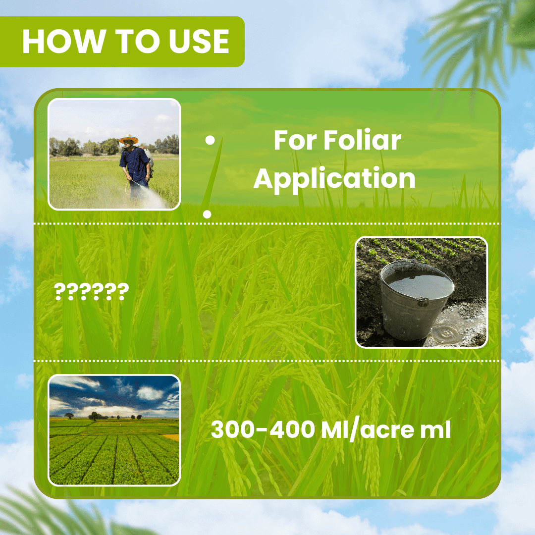 EBS Feno-50 Fenobucarb 50% EC insecticide bottle