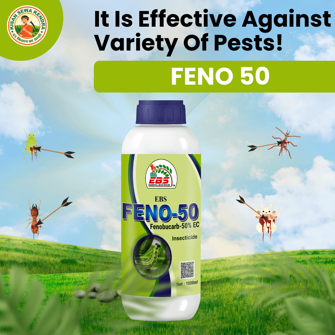 EBS Feno-50 Fenobucarb 50% EC insecticide bottle