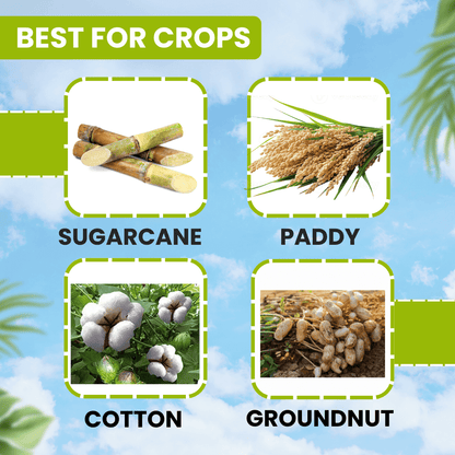 EBS Feno-50 Fenobucarb 50% EC insecticide bottle