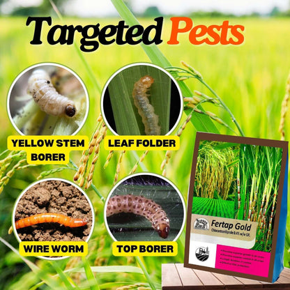 EBS FERTAP-GOLD Chlorantraniliprole 0.4% GR insecticide